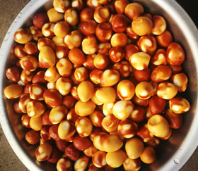 糖熏鵪鶉蛋使用現(xiàn)場